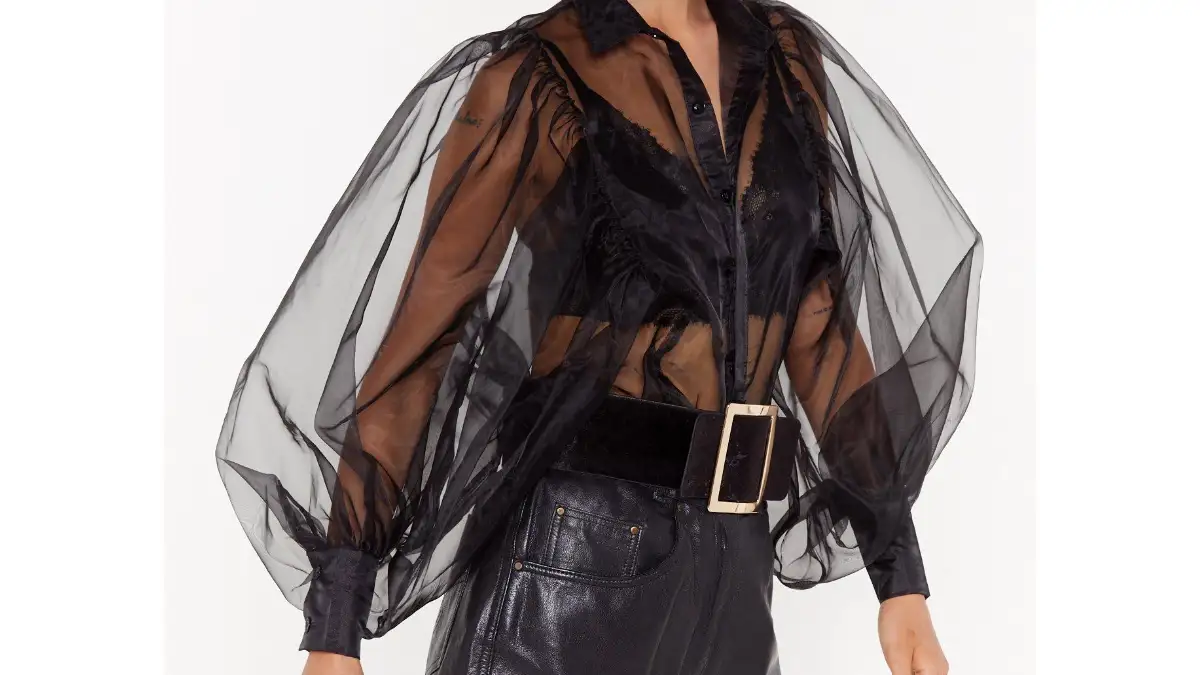 Sheer Balloon Sleeves